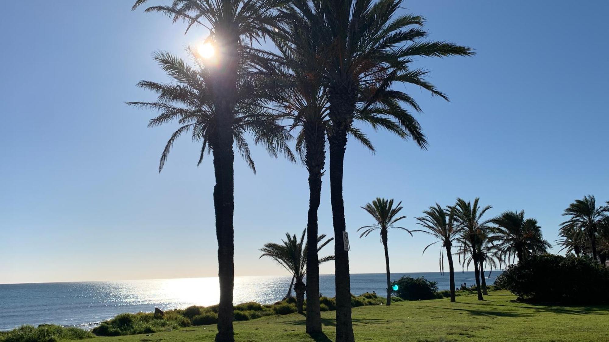 Apartment With Side Seaview 60 Meters From Sea Torrevieja Exterior photo