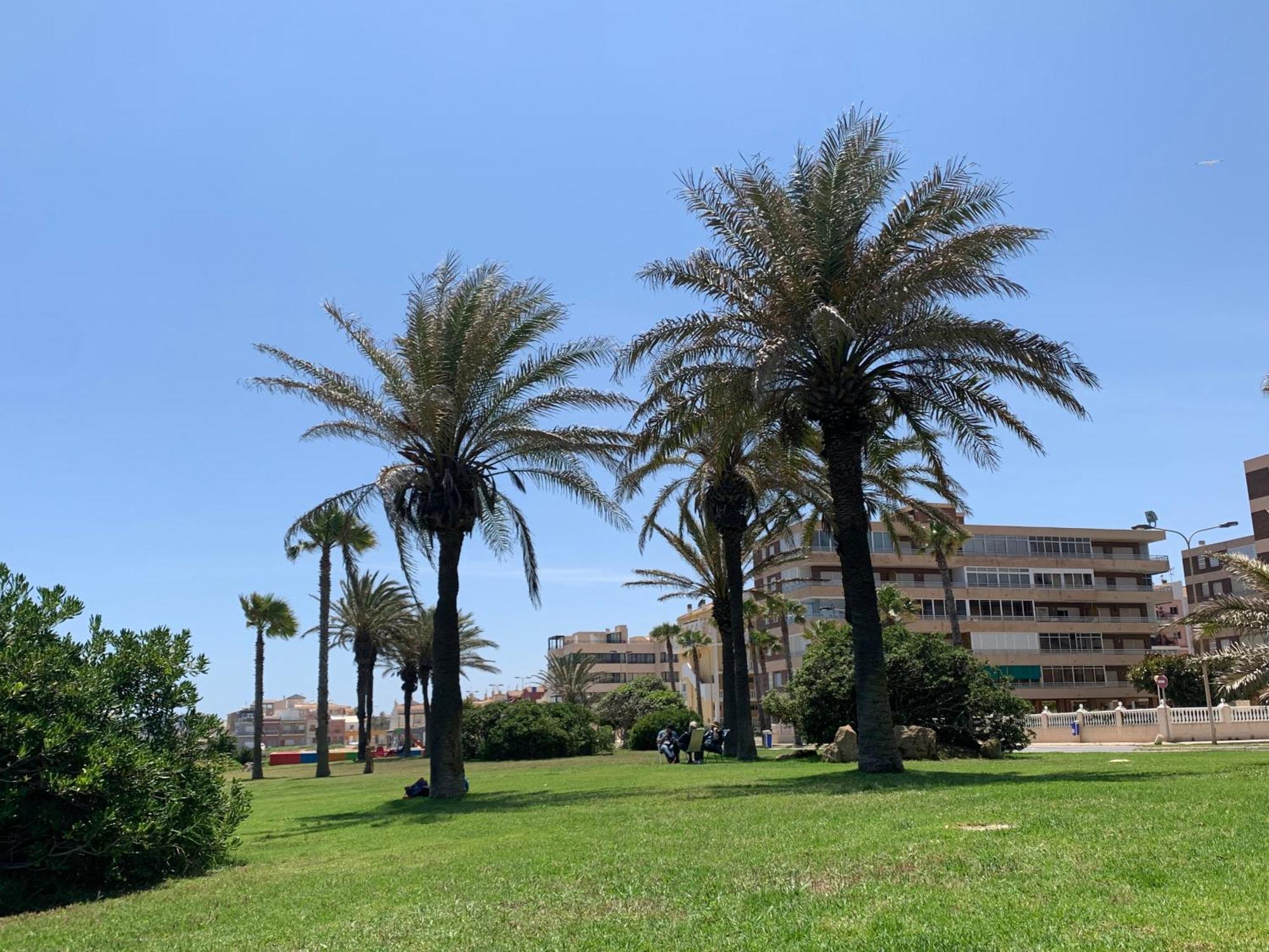 Apartment With Side Seaview 60 Meters From Sea Torrevieja Exterior photo